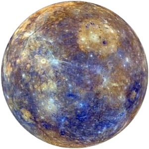 Meet your Posher, Sophia